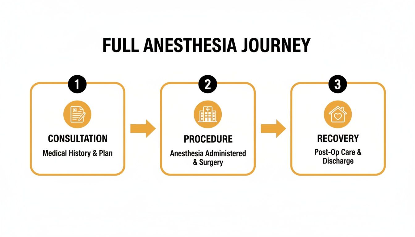 Infographic showing the full anesthesia journey with steps: consultation, procedure, and recovery.