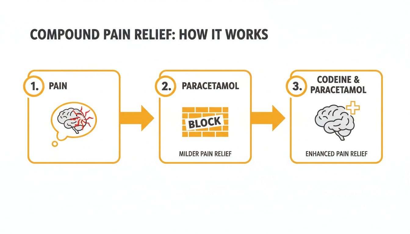 An infographic illustrating the three-step process of compound pain relief, from pain to enhanced relief.