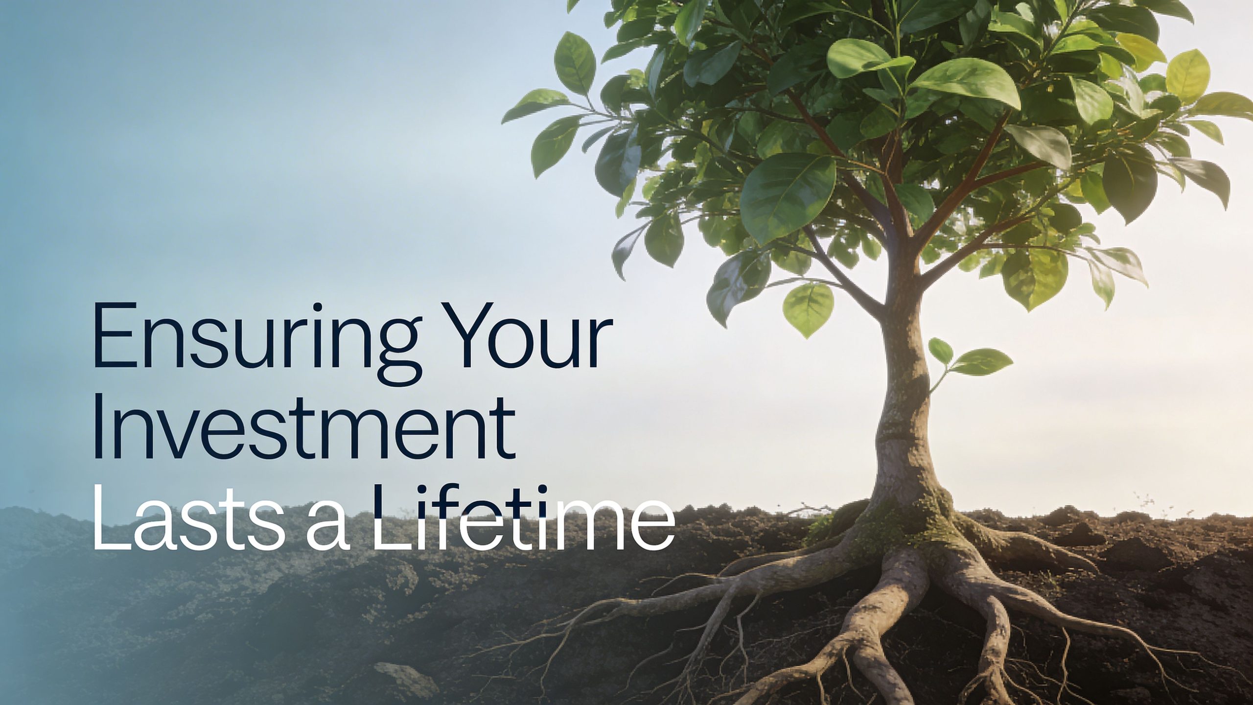 A conceptual image showing a healthy growing tree with deep roots, symbolizing long-term financial or dental investment security.
