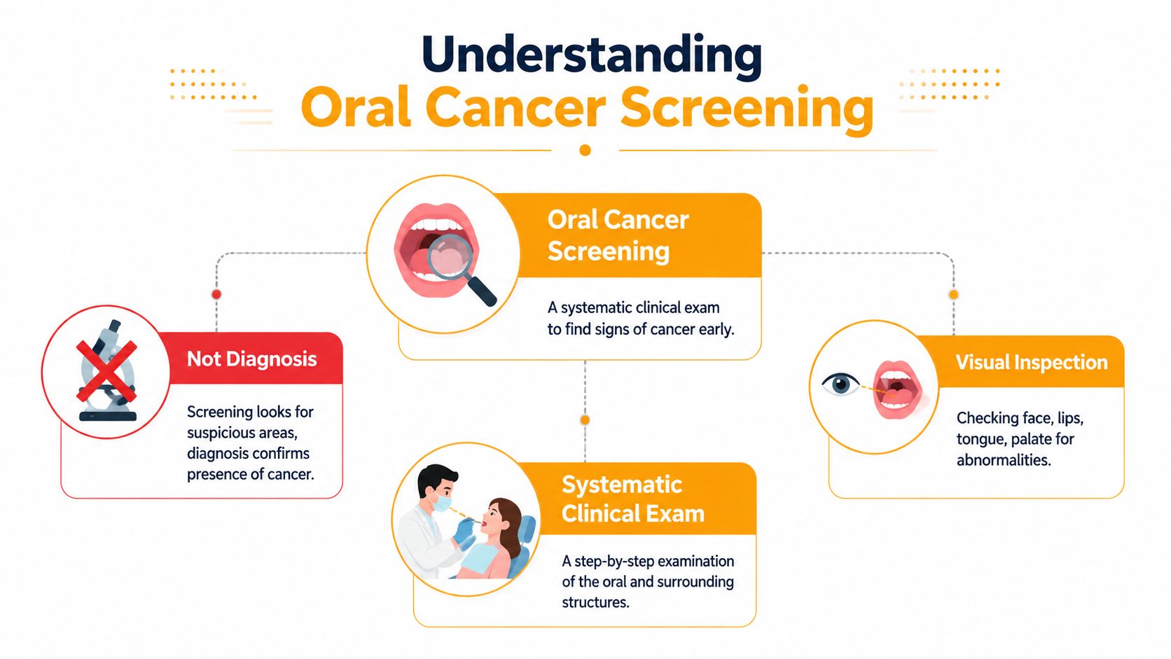 An infographic explaining the oral cancer screening process, highlighting that screenings are examinations, not final diagnoses.